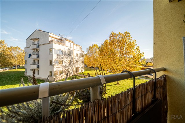 výhled z lodžie [17/19]