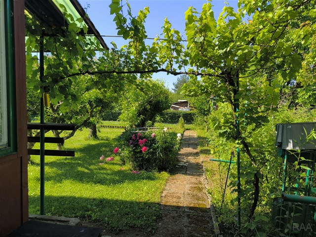 foto 15 [15/26]