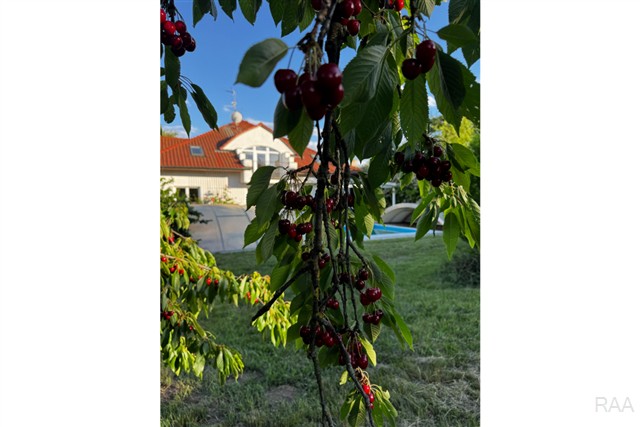 zahrada [58/66]